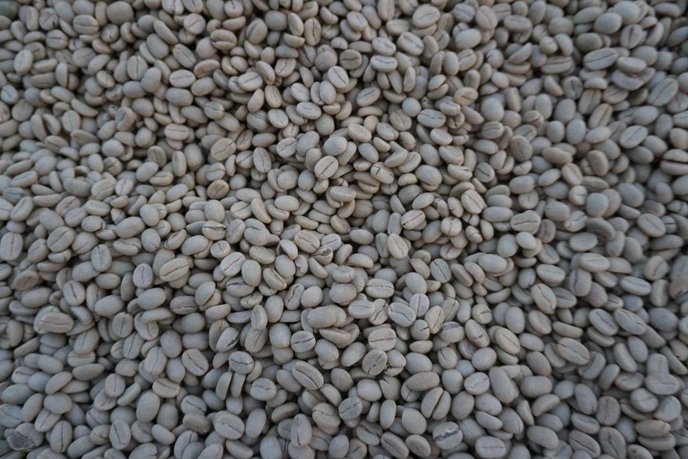 sumatra-coffee_beans