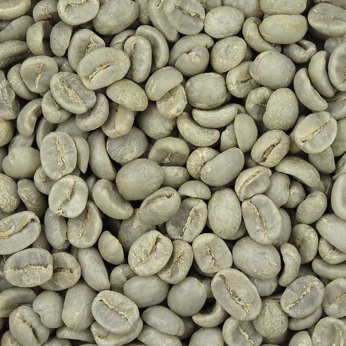 colombia beans